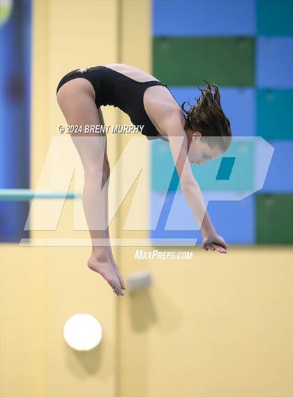 Thumbnail 1 in Mustang Invite (Diving) photogallery.