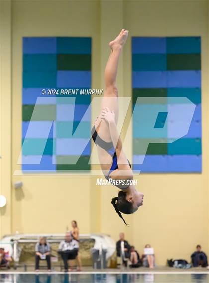 Thumbnail 2 in Mustang Invite (Diving) photogallery.