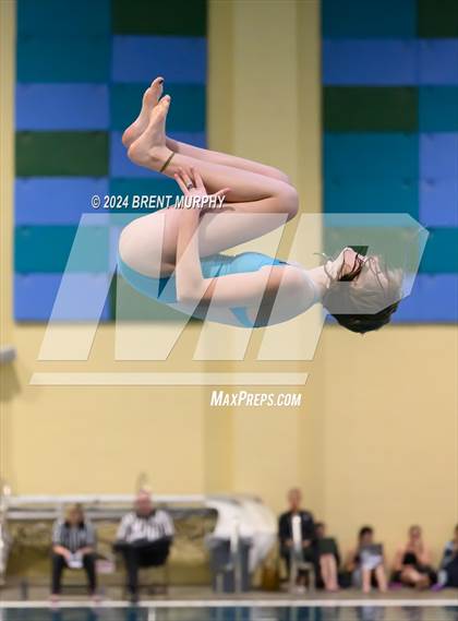 Thumbnail 3 in Mustang Invite (Diving) photogallery.