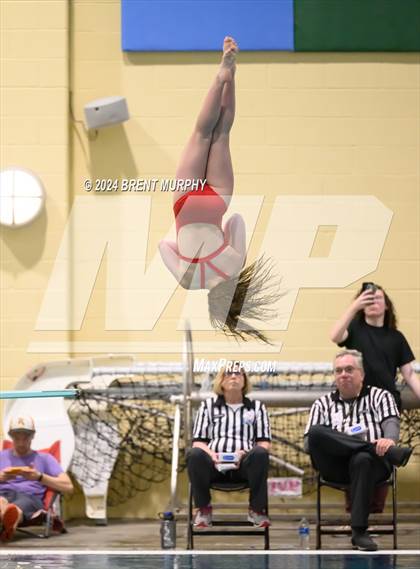 Thumbnail 3 in Mustang Invite (Diving) photogallery.