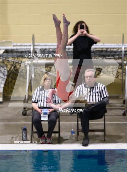 Thumbnail 2 in Mustang Invite (Diving) photogallery.