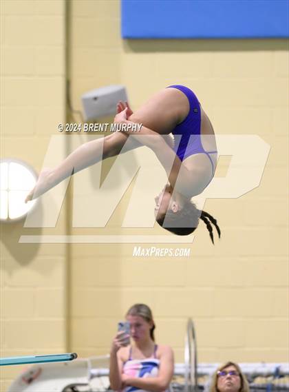 Thumbnail 3 in Mustang Invite (Diving) photogallery.
