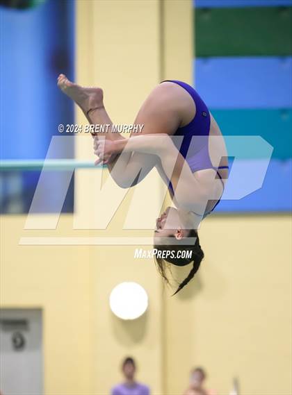 Thumbnail 3 in Mustang Invite (Diving) photogallery.