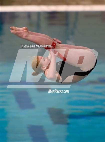 Thumbnail 2 in Mustang Invite (Diving) photogallery.