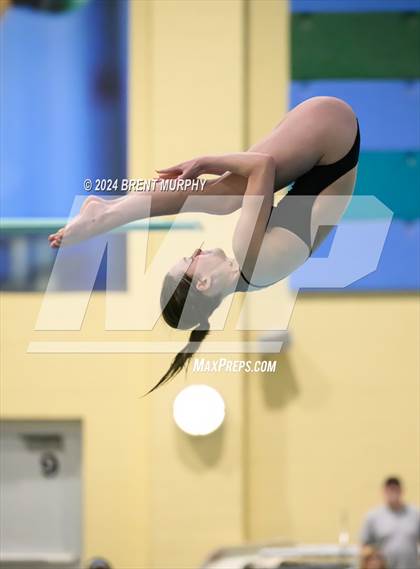 Thumbnail 2 in Mustang Invite (Diving) photogallery.