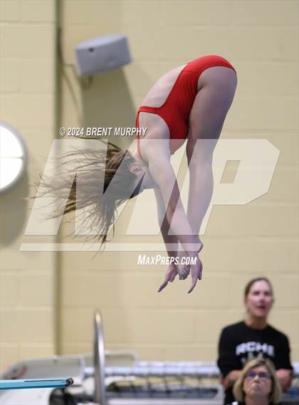 Thumbnail 2 in Mustang Invite (Diving) photogallery.