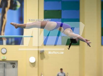Thumbnail 3 in Mustang Invite (Diving) photogallery.