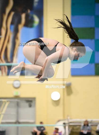 Thumbnail 1 in Mustang Invite (Diving) photogallery.