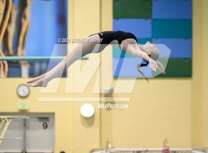 Thumbnail 1 in Mustang Invite (Diving) photogallery.