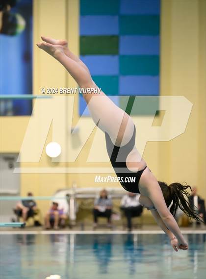 Thumbnail 2 in Mustang Invite (Diving) photogallery.