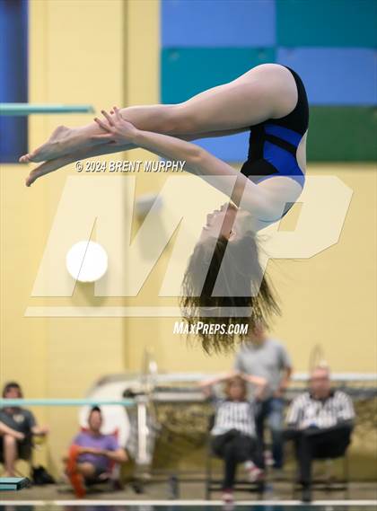 Thumbnail 3 in Mustang Invite (Diving) photogallery.