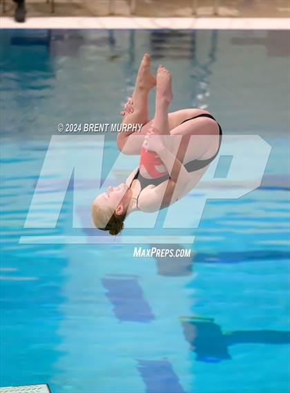 Thumbnail 3 in Mustang Invite (Diving) photogallery.