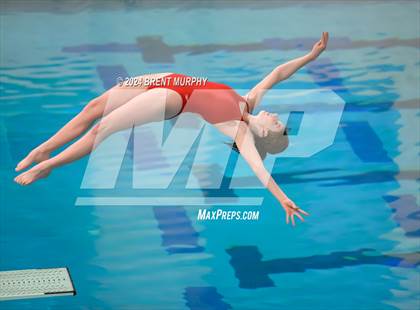 Thumbnail 1 in Mustang Invite (Diving) photogallery.