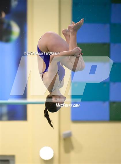 Thumbnail 3 in Mustang Invite (Diving) photogallery.