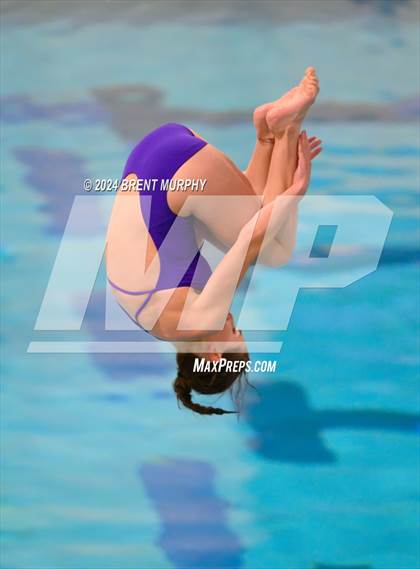 Thumbnail 1 in Mustang Invite (Diving) photogallery.