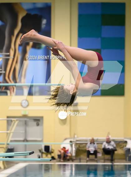 Thumbnail 1 in Mustang Invite (Diving) photogallery.