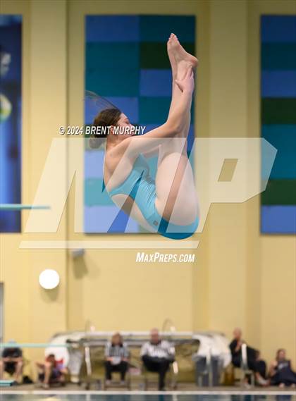 Thumbnail 2 in Mustang Invite (Diving) photogallery.