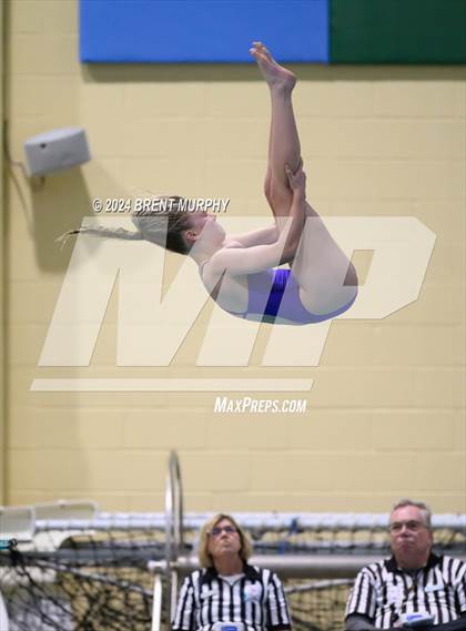 Thumbnail 1 in Mustang Invite (Diving) photogallery.
