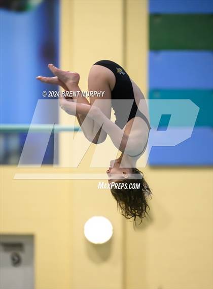 Thumbnail 2 in Mustang Invite (Diving) photogallery.