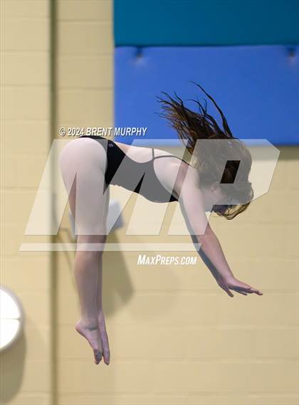 Thumbnail 3 in Mustang Invite (Diving) photogallery.