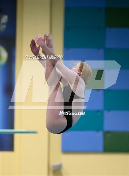 Thumbnail 2 in Mustang Invite (Diving) photogallery.
