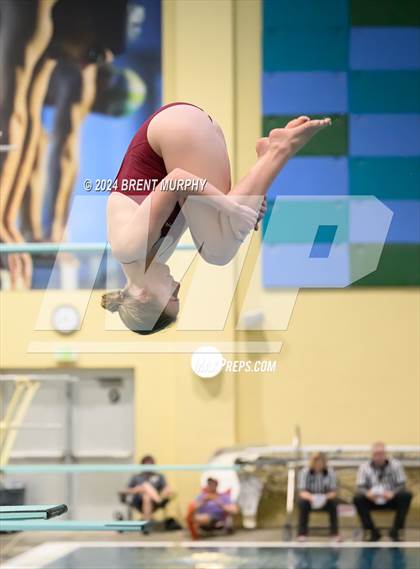 Thumbnail 3 in Mustang Invite (Diving) photogallery.