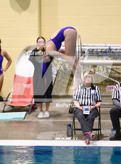 Thumbnail 3 in Mustang Invite (Diving) photogallery.