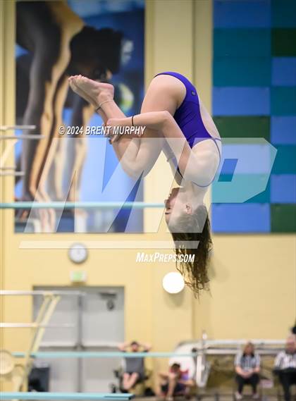 Thumbnail 2 in Mustang Invite (Diving) photogallery.