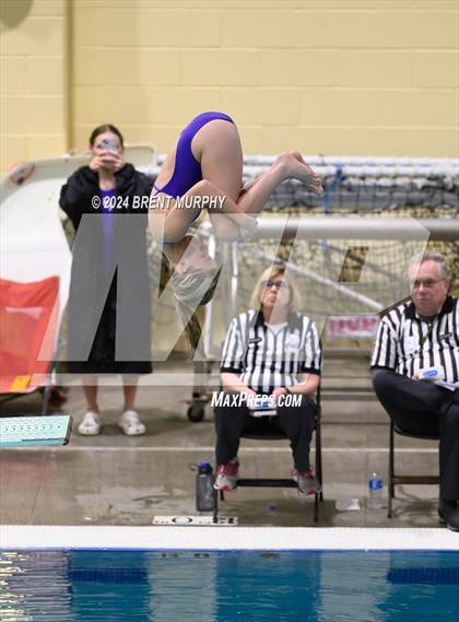 Thumbnail 3 in Mustang Invite (Diving) photogallery.