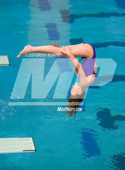 Thumbnail 2 in Mustang Invite (Diving) photogallery.