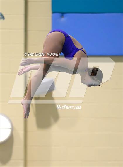 Thumbnail 2 in Mustang Invite (Diving) photogallery.
