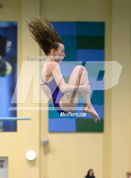 Thumbnail 3 in Mustang Invite (Diving) photogallery.