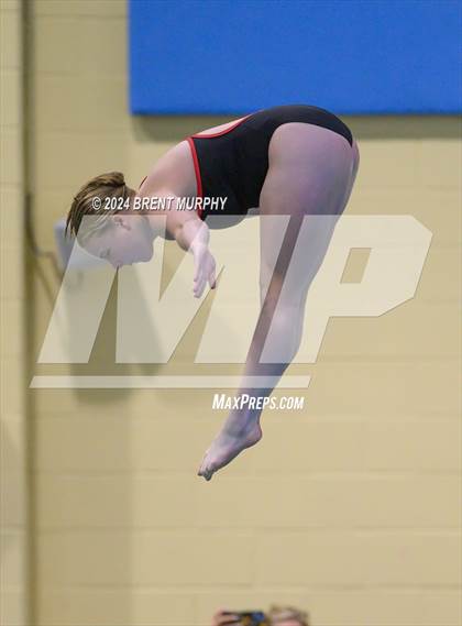 Thumbnail 3 in Mustang Invite (Diving) photogallery.