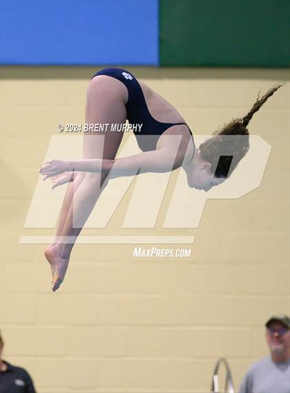 Thumbnail 3 in Mustang Invite (Diving) photogallery.