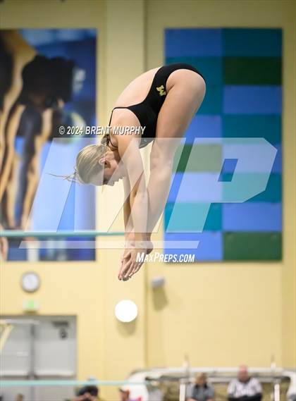 Thumbnail 2 in Mustang Invite (Diving) photogallery.
