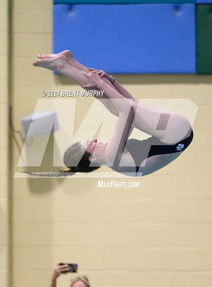Thumbnail 3 in Mustang Invite (Diving) photogallery.