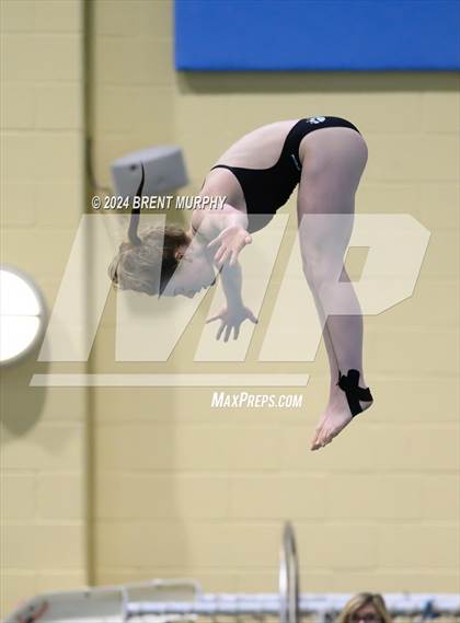 Thumbnail 1 in Mustang Invite (Diving) photogallery.