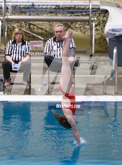 Thumbnail 1 in Mustang Invite (Diving) photogallery.