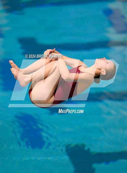 Thumbnail 2 in Mustang Invite (Diving) photogallery.
