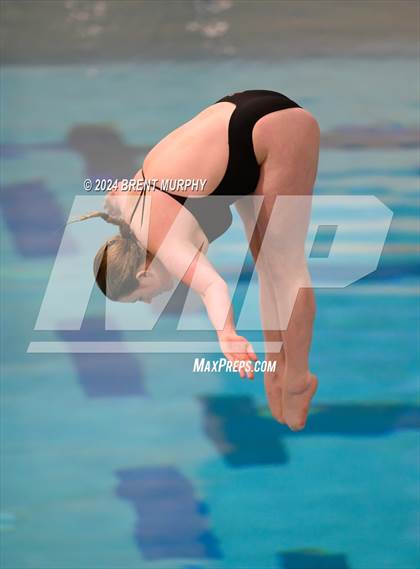 Thumbnail 3 in Mustang Invite (Diving) photogallery.