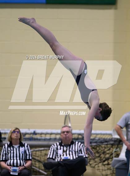 Thumbnail 3 in Mustang Invite (Diving) photogallery.