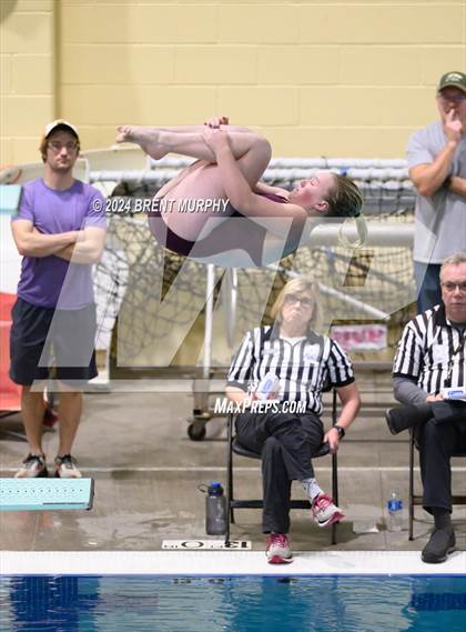 Thumbnail 2 in Mustang Invite (Diving) photogallery.