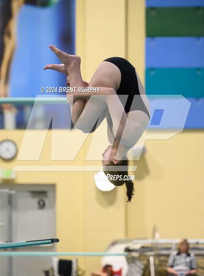 Thumbnail 1 in Mustang Invite (Diving) photogallery.