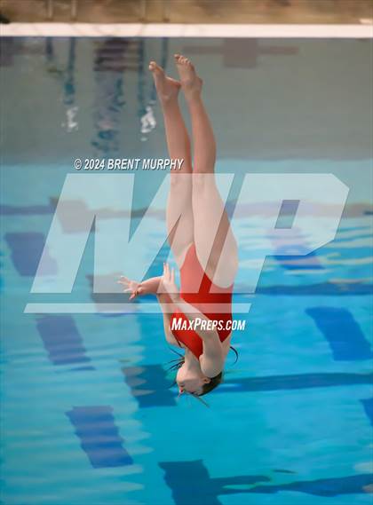 Thumbnail 2 in Mustang Invite (Diving) photogallery.
