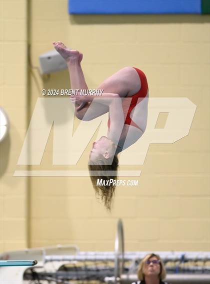 Thumbnail 1 in Mustang Invite (Diving) photogallery.