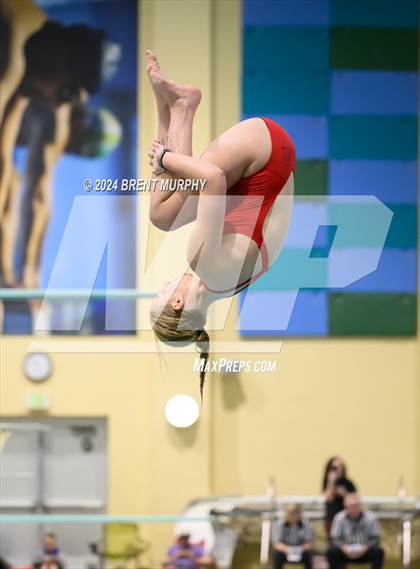 Thumbnail 2 in Mustang Invite (Diving) photogallery.