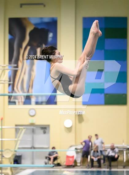 Thumbnail 1 in Mustang Invite (Diving) photogallery.