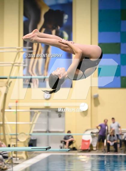 Thumbnail 3 in Mustang Invite (Diving) photogallery.