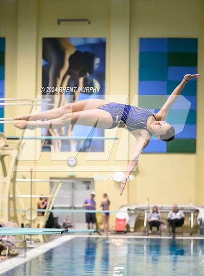 Thumbnail 2 in Mustang Invite (Diving) photogallery.