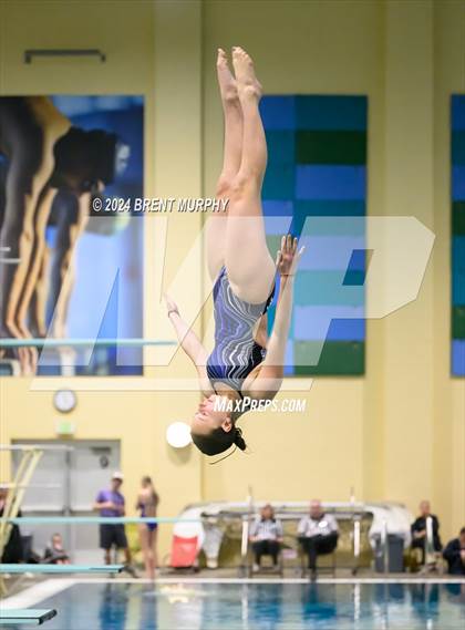 Thumbnail 3 in Mustang Invite (Diving) photogallery.